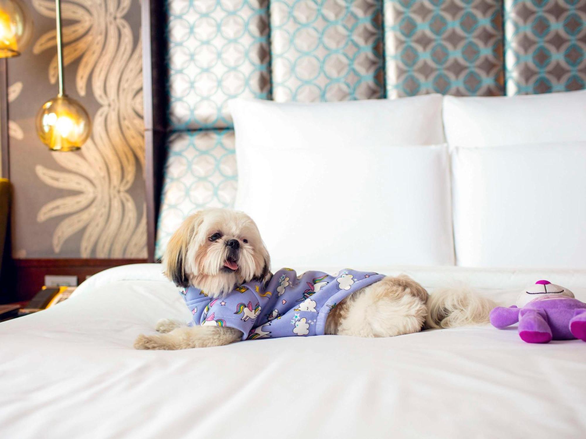 Pullman New Delhi Aerocity Exteriör bild A dog at the Four Seasons Hotel